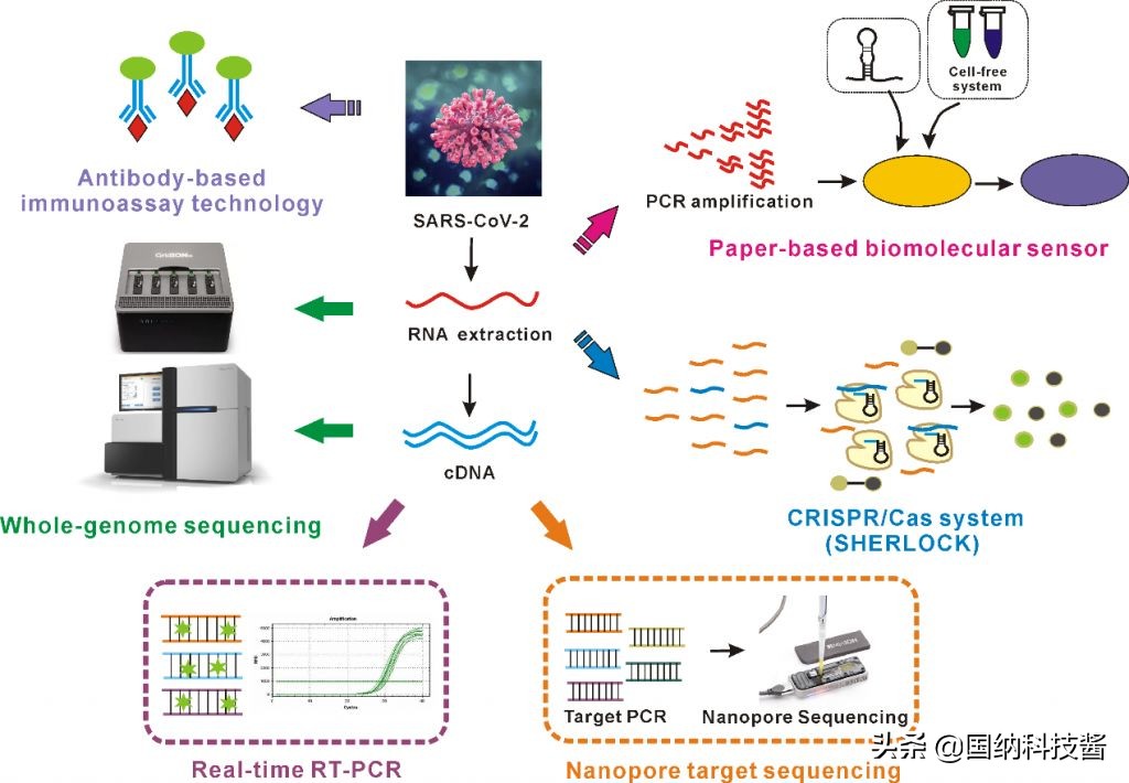 新冠病毒手机也可以测试,手机能检测病毒