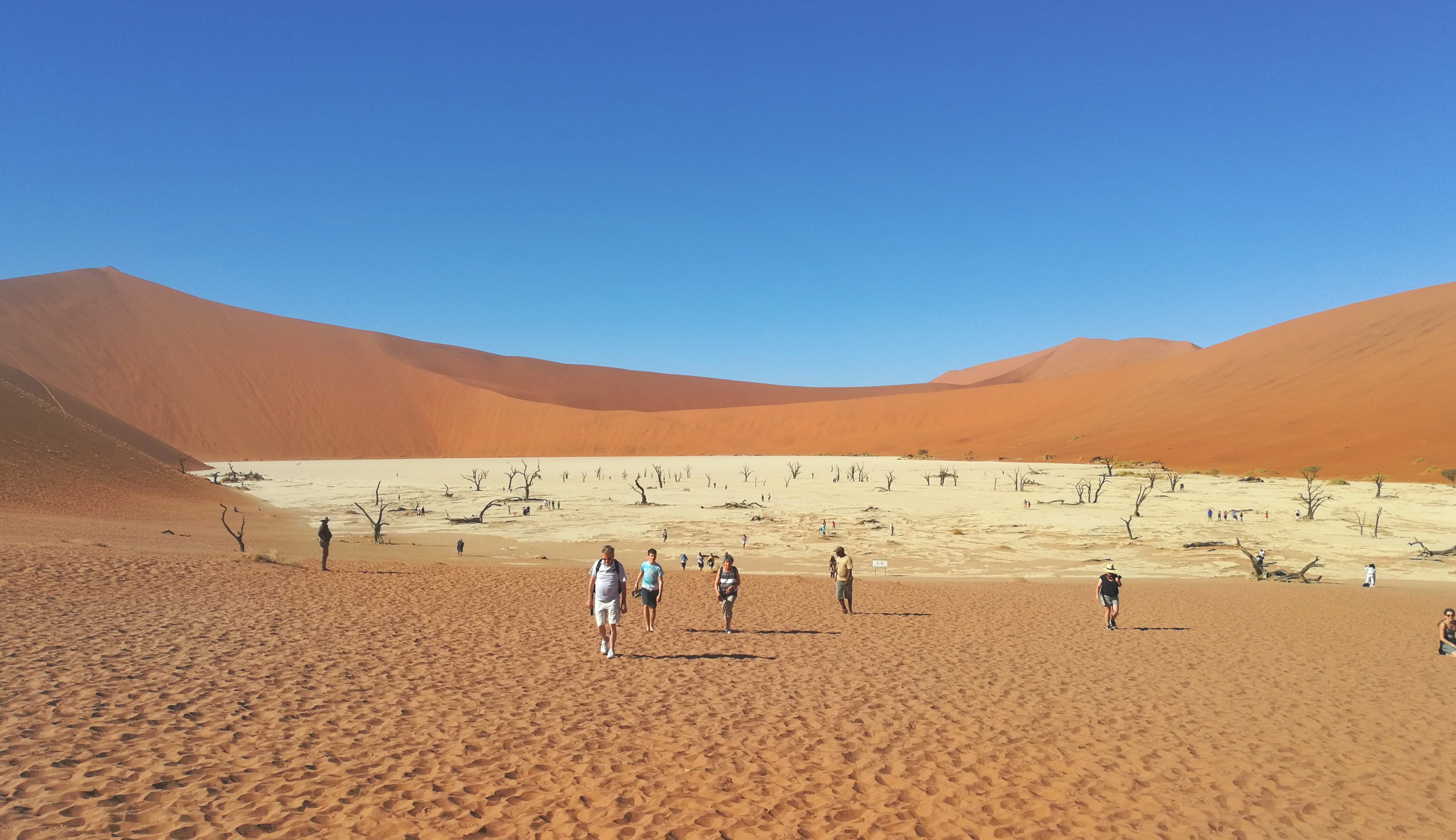 绾崇背姣斾簹绾㈣壊娌欐紶,绾崇背姣斾簹娌欐紶涔嬫梾