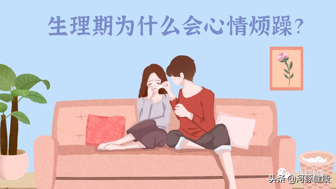 河豚应激反应是怎么回事,河豚为什么会突然暴躁