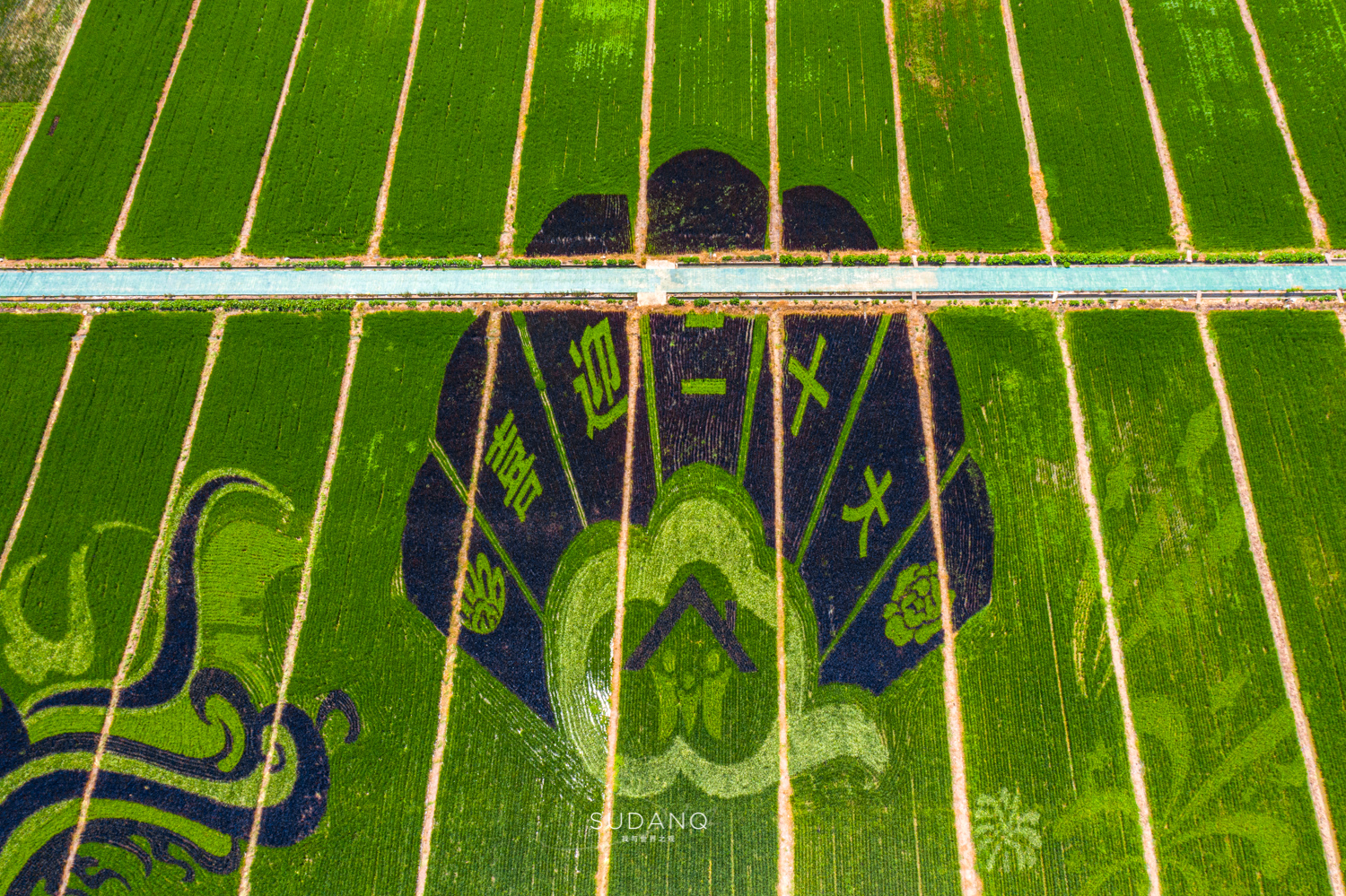 苏州吴江区六大名镇,苏州吴江最有发展区是哪里