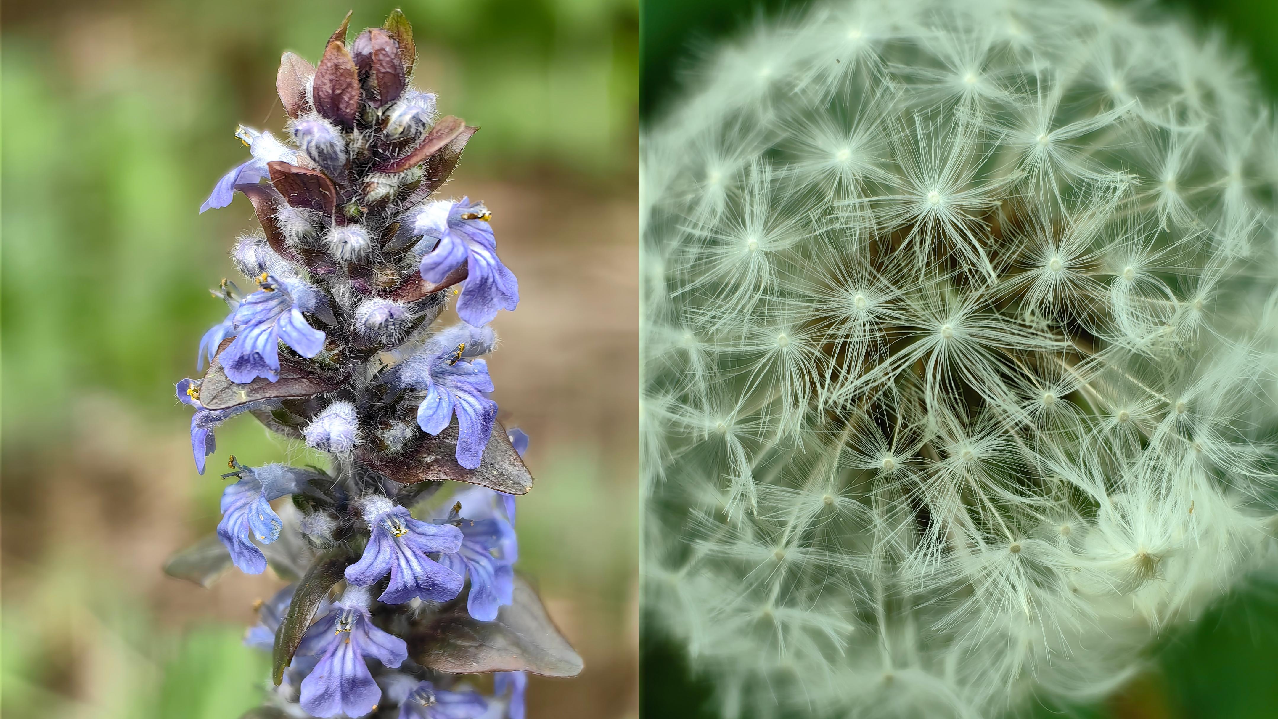 华为p60pro欧洲发布全程,华为p60pro真正实力