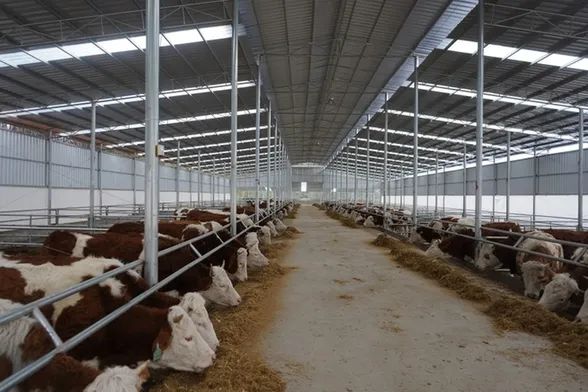 全国人大代表郑培坤：做群众“贴心人”当致富“带头人”