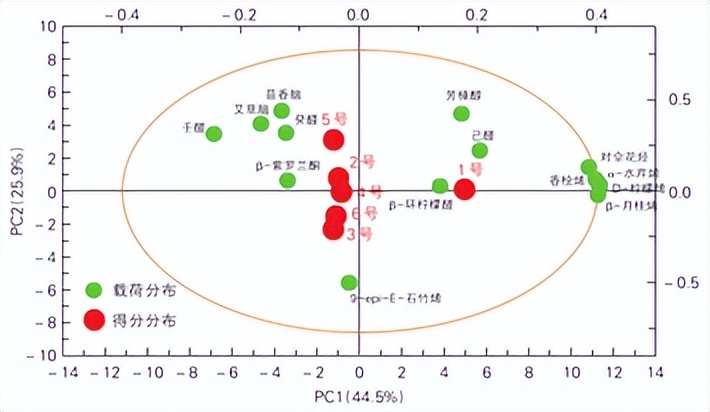 【技术专栏】千“椒”百味，辣而不同