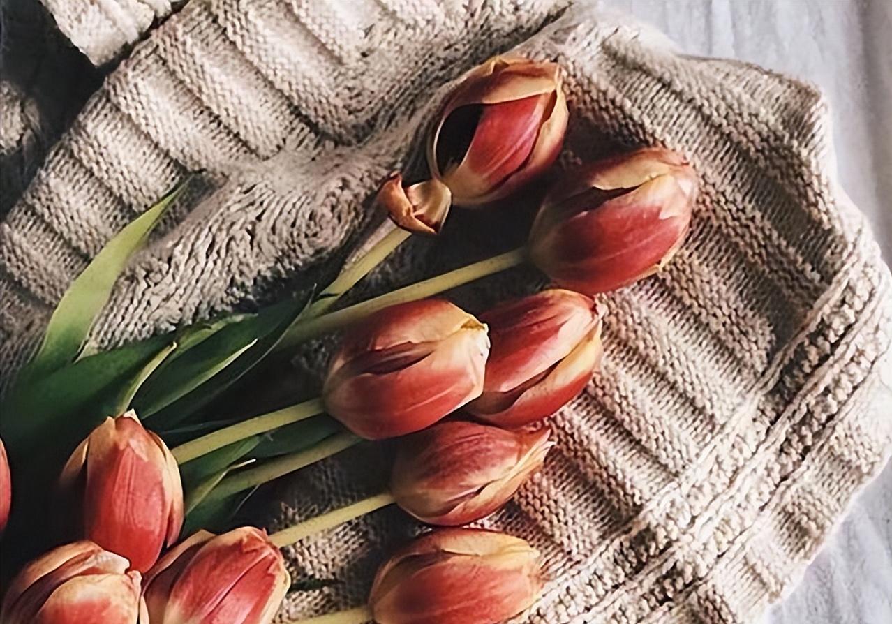 已婚男人遇到红颜知己怎么办,一个已婚男人遇到红颜知己的变化