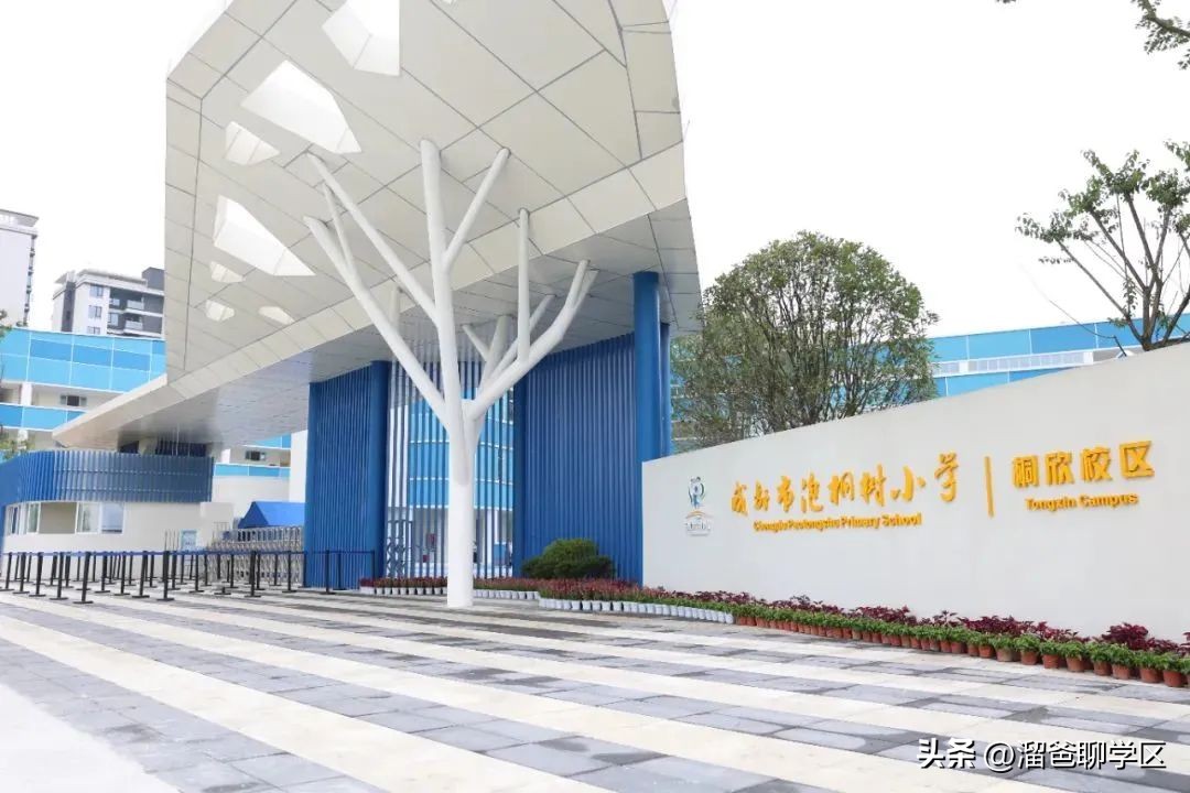 草堂子美,草堂子美怎么样