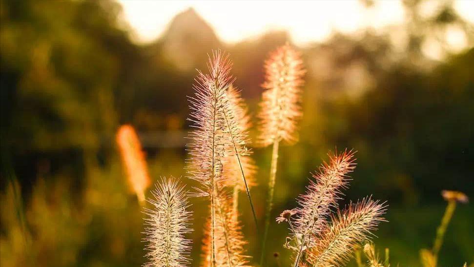 2023，只愿时光不老，只许故人不散