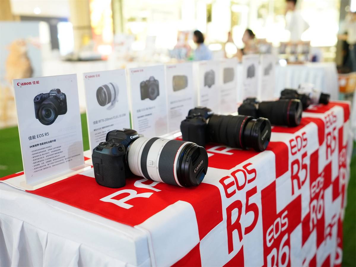 端午撸猫乐趣尽在“猫21×佳能萌宠影像创造营“广州站