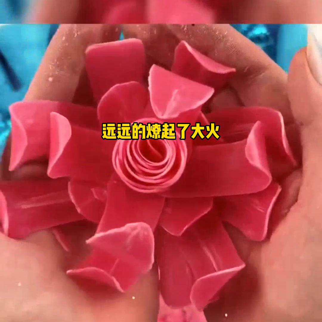 小说大全免费,小说