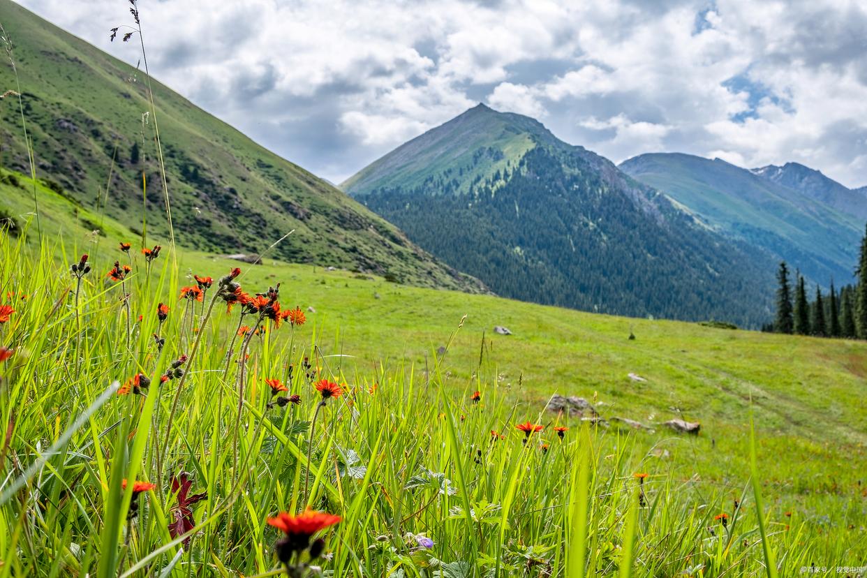 昆明旅游攻略绝美景点有哪些,昆明旅游攻略景点推荐理由大全图