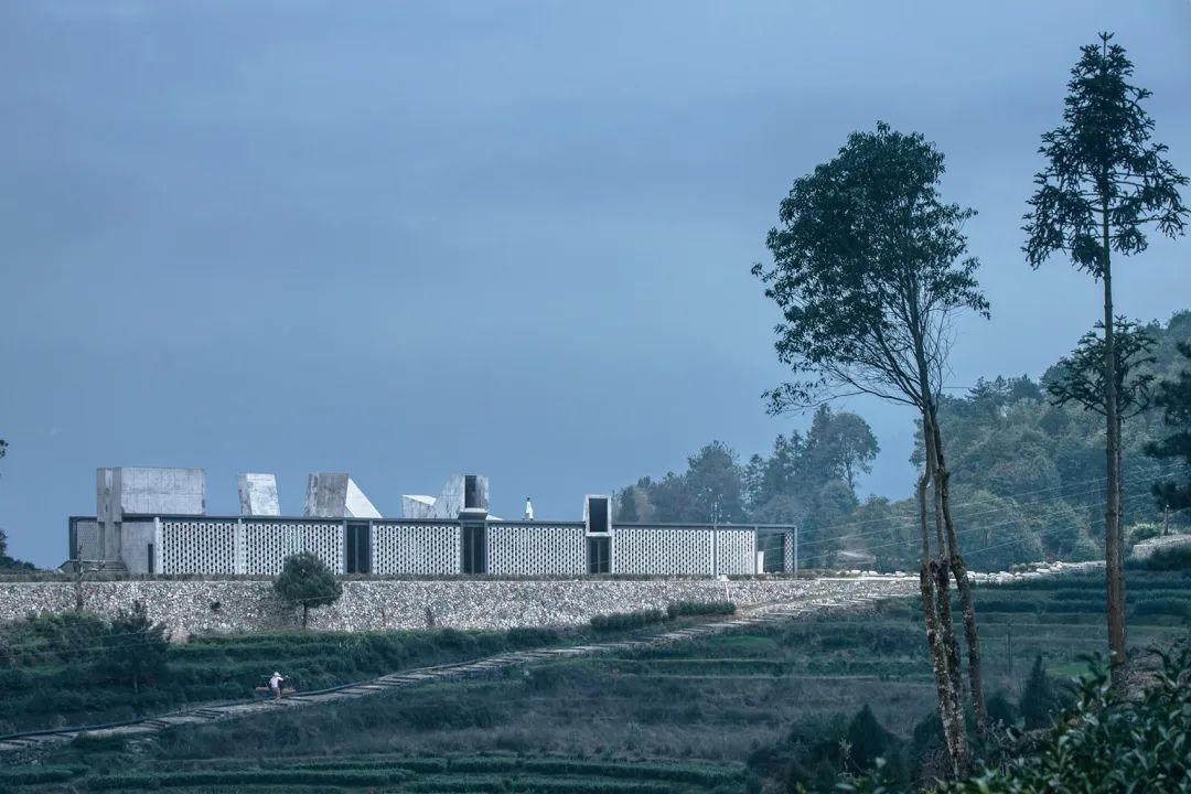 中国茶申遗成功吗,中国茶申遗成功44项名单