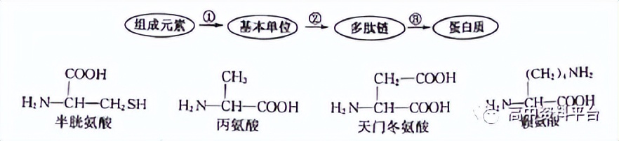 2024河南强基联盟3月联考高二,2024九省联考河南生物试卷及答案