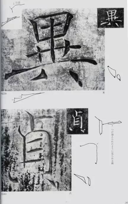 宸ョ瑪鐢绘潹鏅箟鐢诲唽,鏉滈箖鏉ㄦ櫘涔夊畬鏁寸増