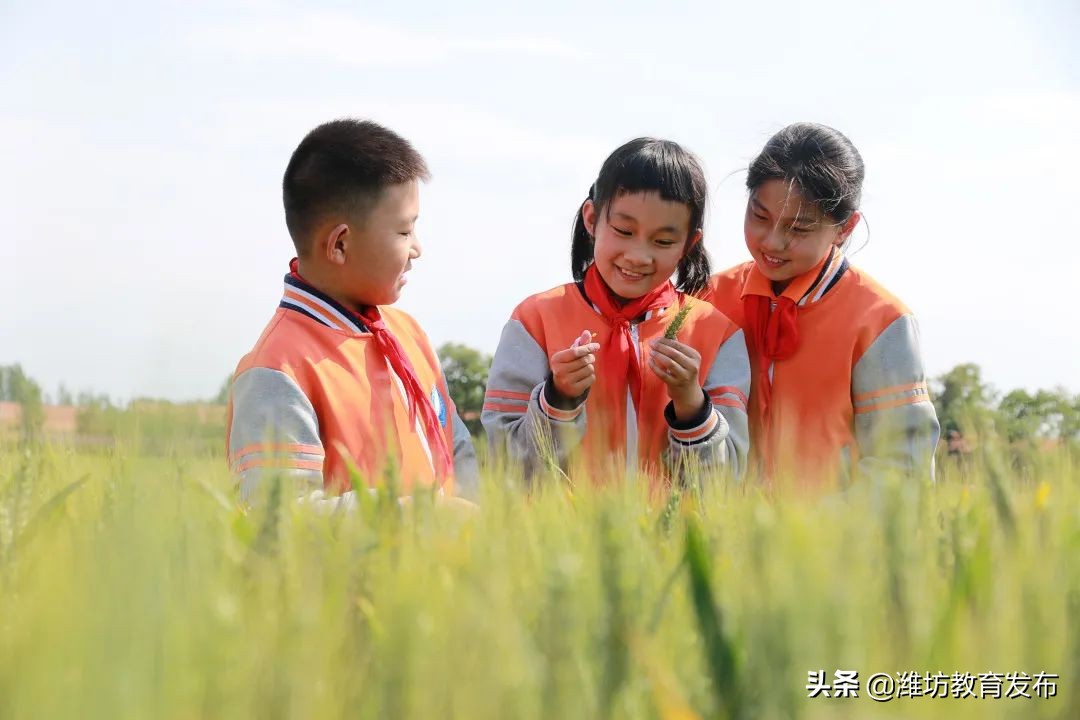 最新新闻周播报,新闻周播报完整版