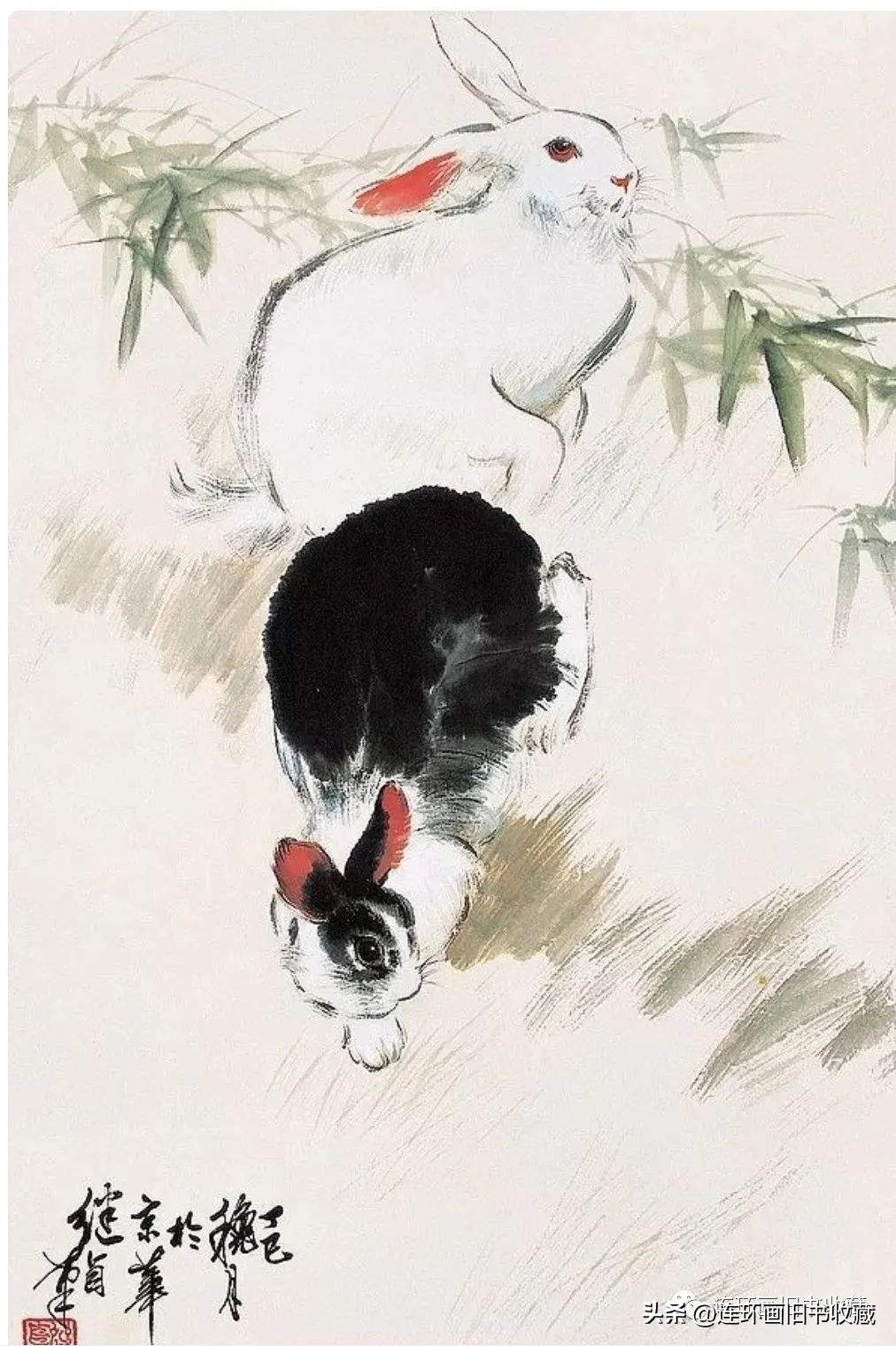 白兔和黑兔四格连环画,关于兔年的多格连环画