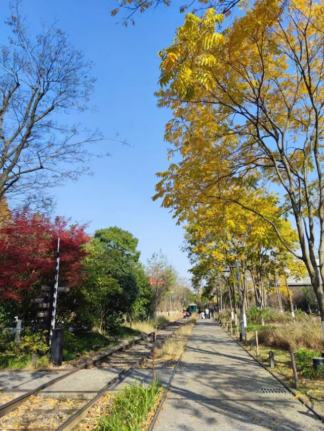 杭州周边赏秋好去处,杭州赏秋最佳攻略