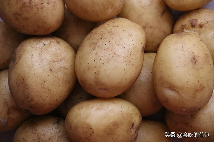 各种蔬菜的保鲜储存方法,各种蔬菜的储存保鲜方法