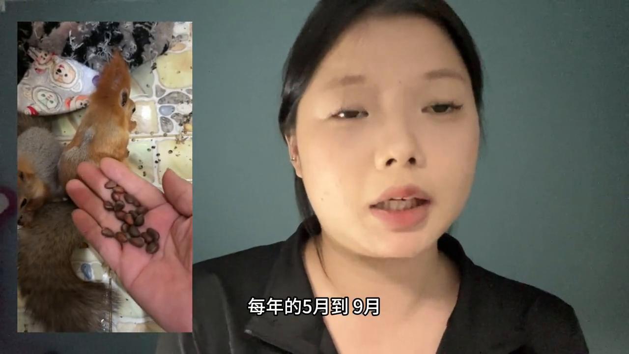 松鼠驱虫体外,松鼠驱虫