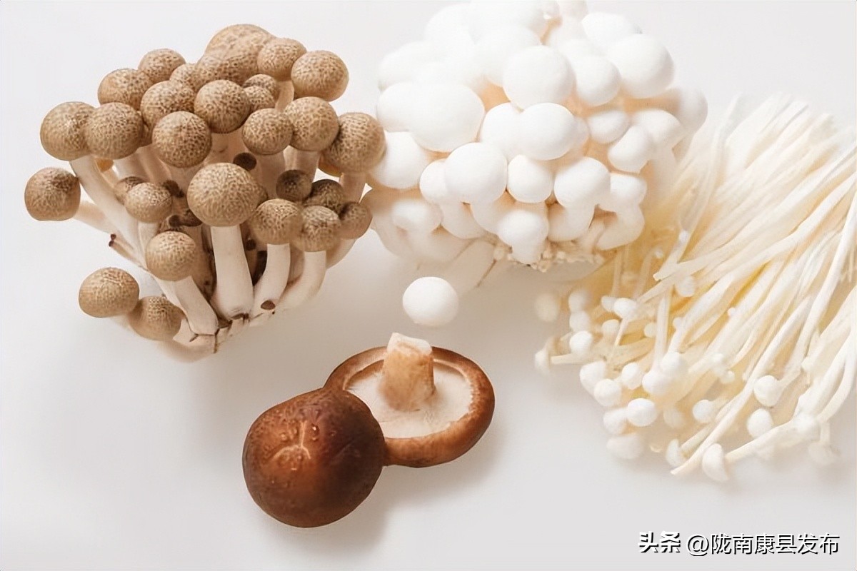 提高免疫力和补气补血的食物,什么水果补血和提高免疫力