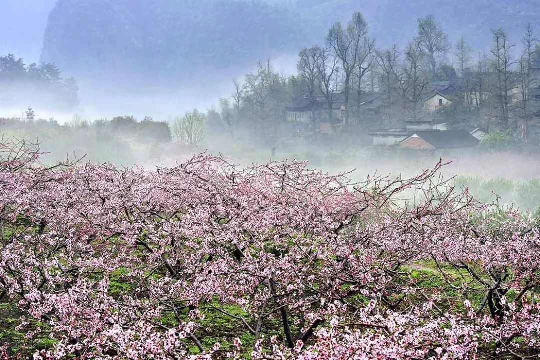 5月底桂林梯田摄影,桂林阳朔山水风光摄影团攻略