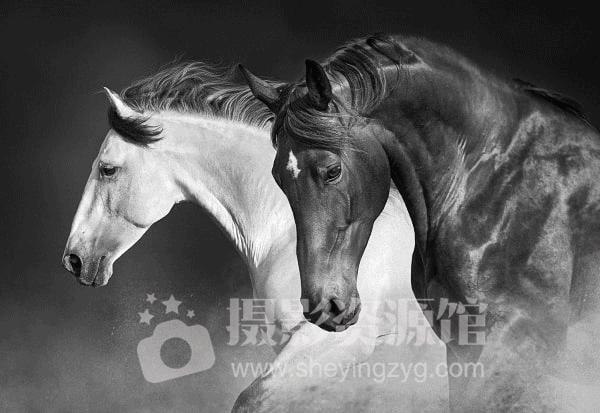 ps2024滤镜的最新功能,ps2024人像插件5.0使用教程