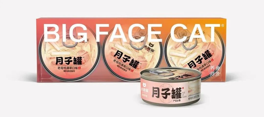 猫主子新零食,给猫的零食大礼包推荐