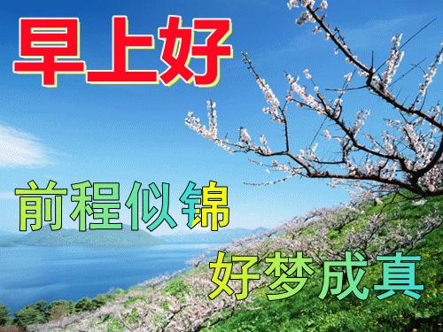 早安心语每日一语励志短句图片,早安问候语正能量努力的短句图片