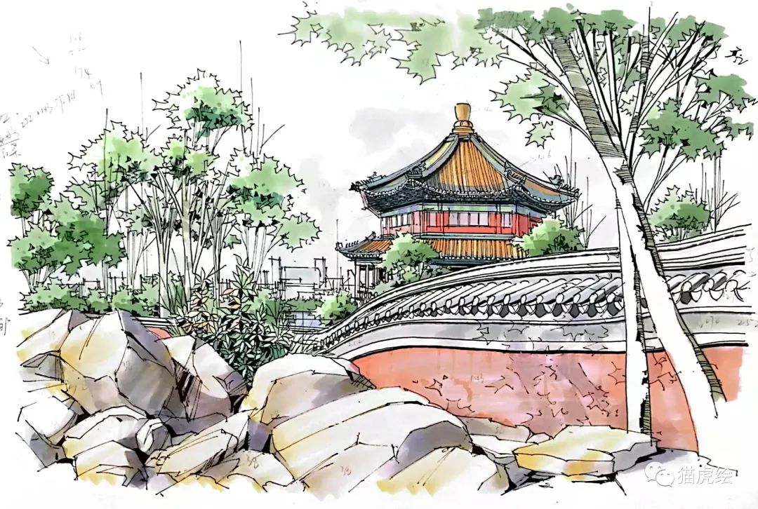 2022猫虎绘暑假手绘班招生简章「线上+线下」