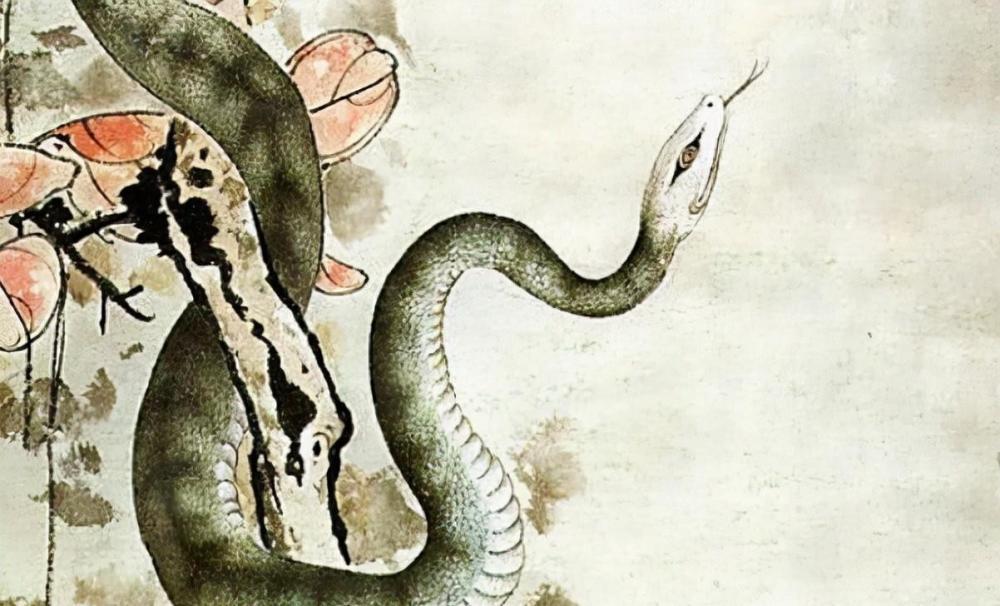 吓人3米长大蛇在小区晒太阳,罕见2.5米长眼镜蛇潜入室内