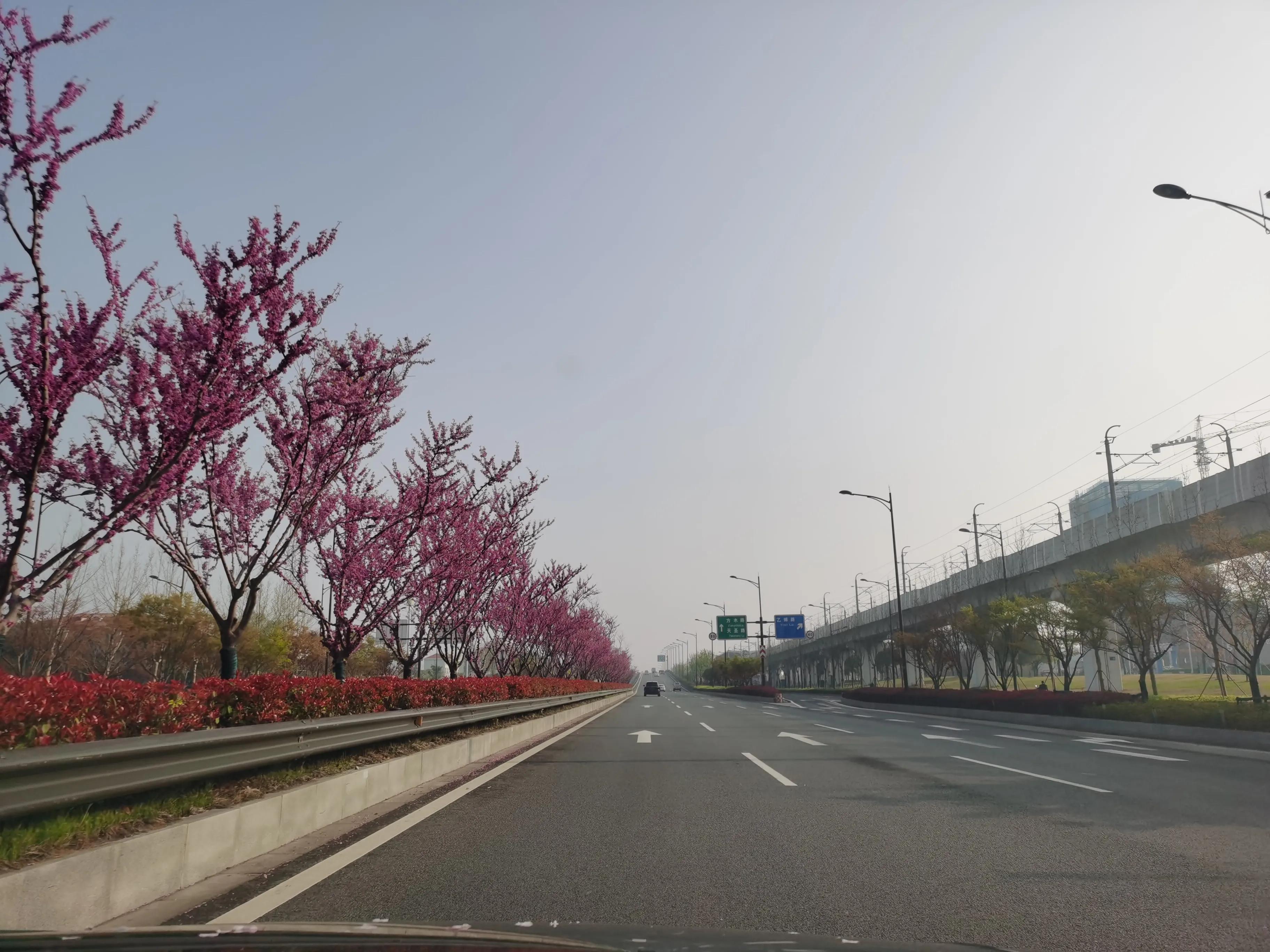 六合雨后捡雨花石,雨后捡雨花石