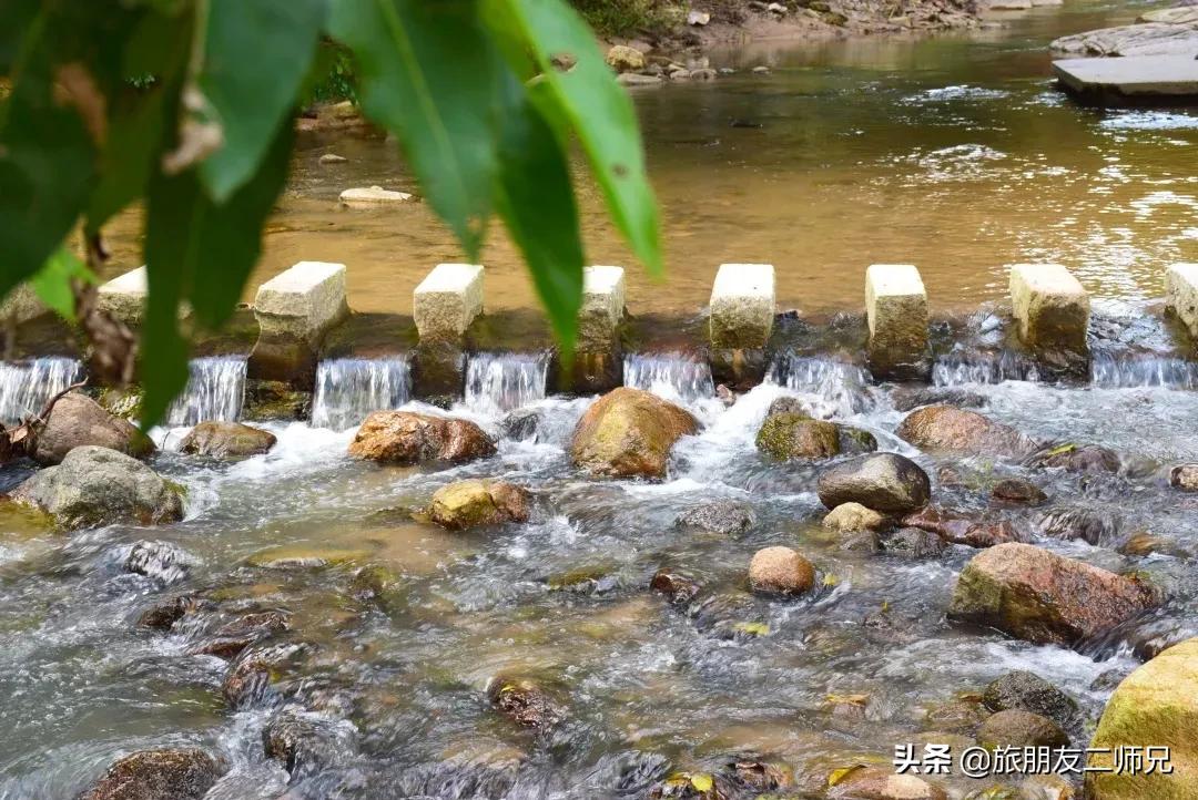 广州花都梯田油菜花,广州徒步赏油菜花路线