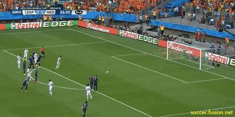 世界杯的遗憾乒乓球,2014年巴西世界杯荷兰vs西班牙