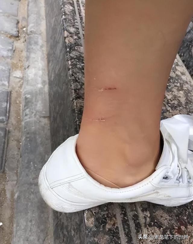 男子捡400只流浪狗,四川男子从路边捡来黑狗完整版