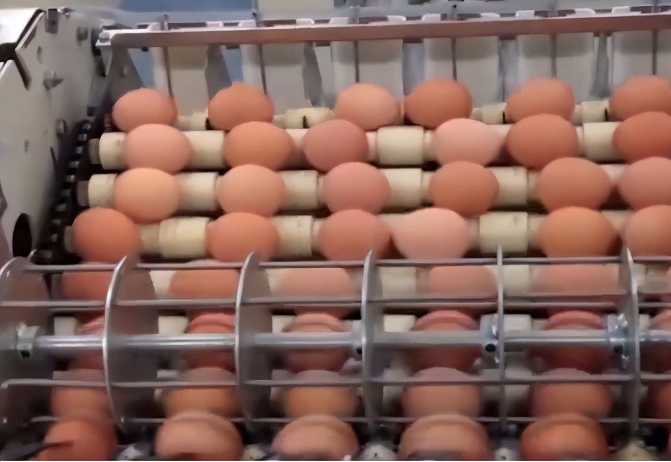 市场上人造蛋成本高吗,市场人造鸡蛋多吗