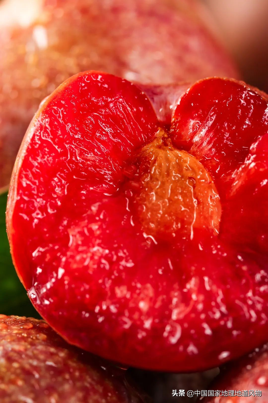 李子哪个品种最甜最好吃,李子种植哪个品种最好吃