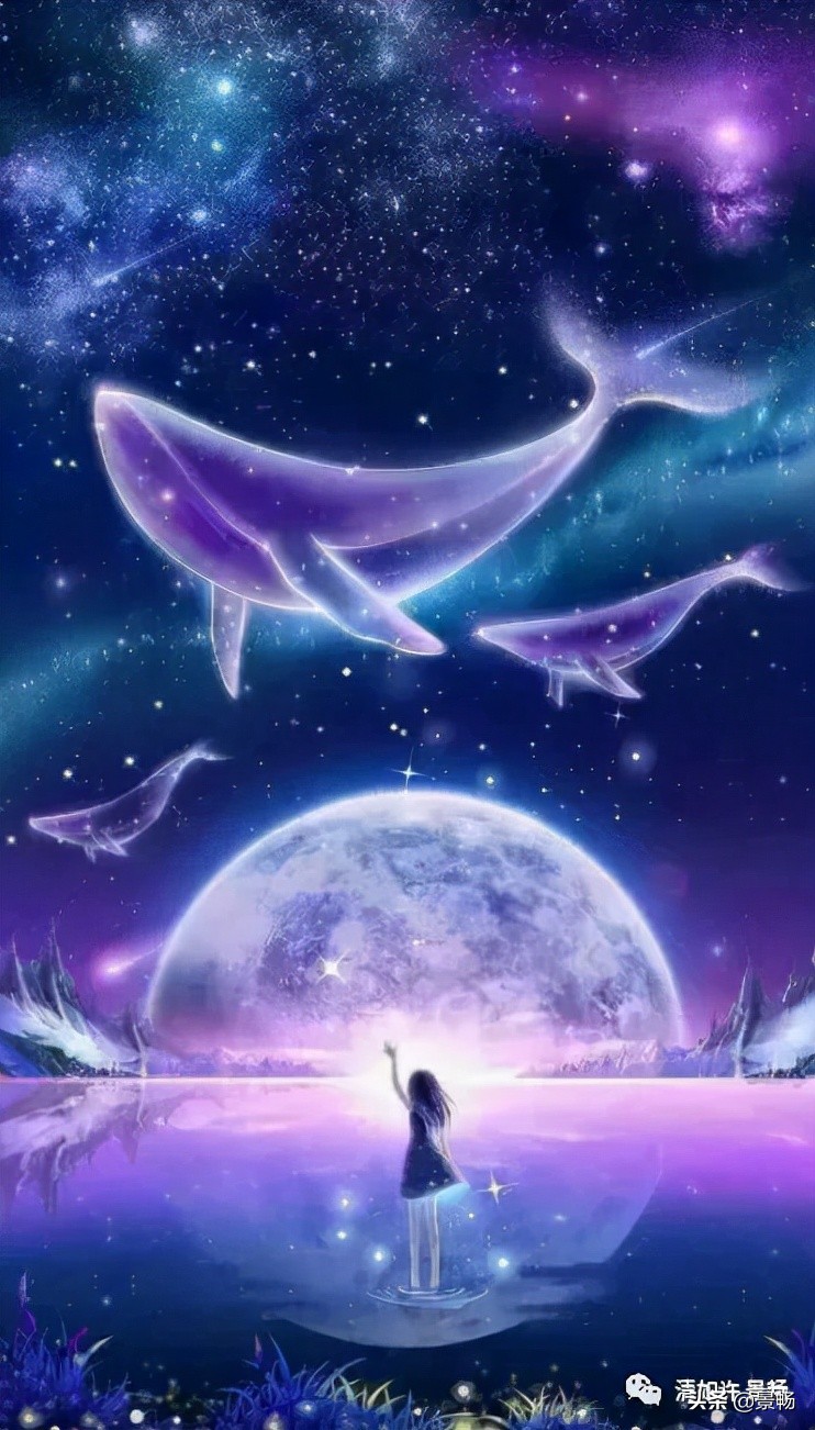 自己只管努力其他一切顺其自然,你只管做自己一切都是最好的安排