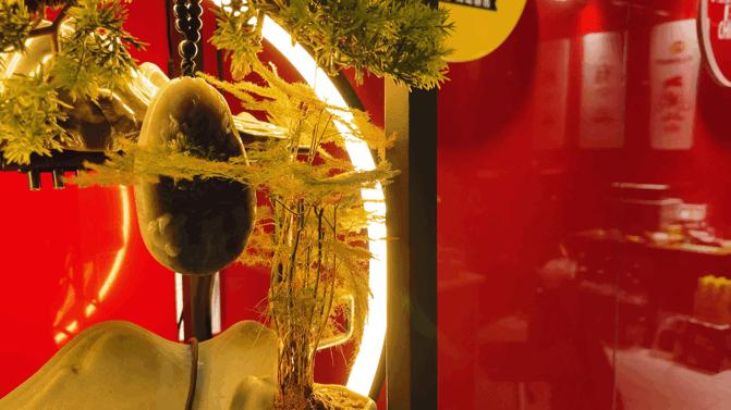 无商不活无市不兴,无商不成市