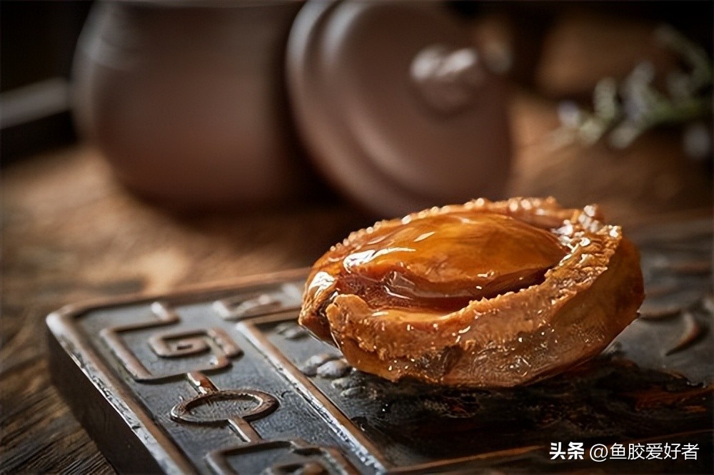 【技术贴】买鲍鱼一定要学会看这几点！