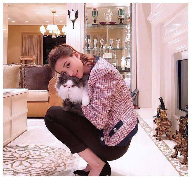 何超莲赌王最美千金,吴克群评价何超莲视频