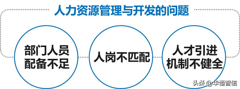 组织结构人力规划,组织结构及项目团队
