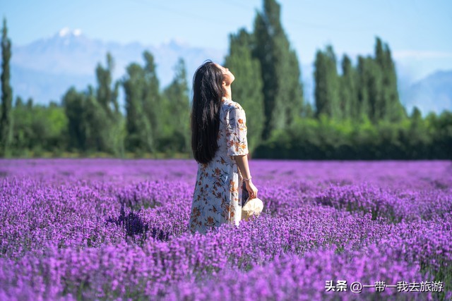 你刚好盛开我正好路过音乐,你刚好盛开我正好路过的配音