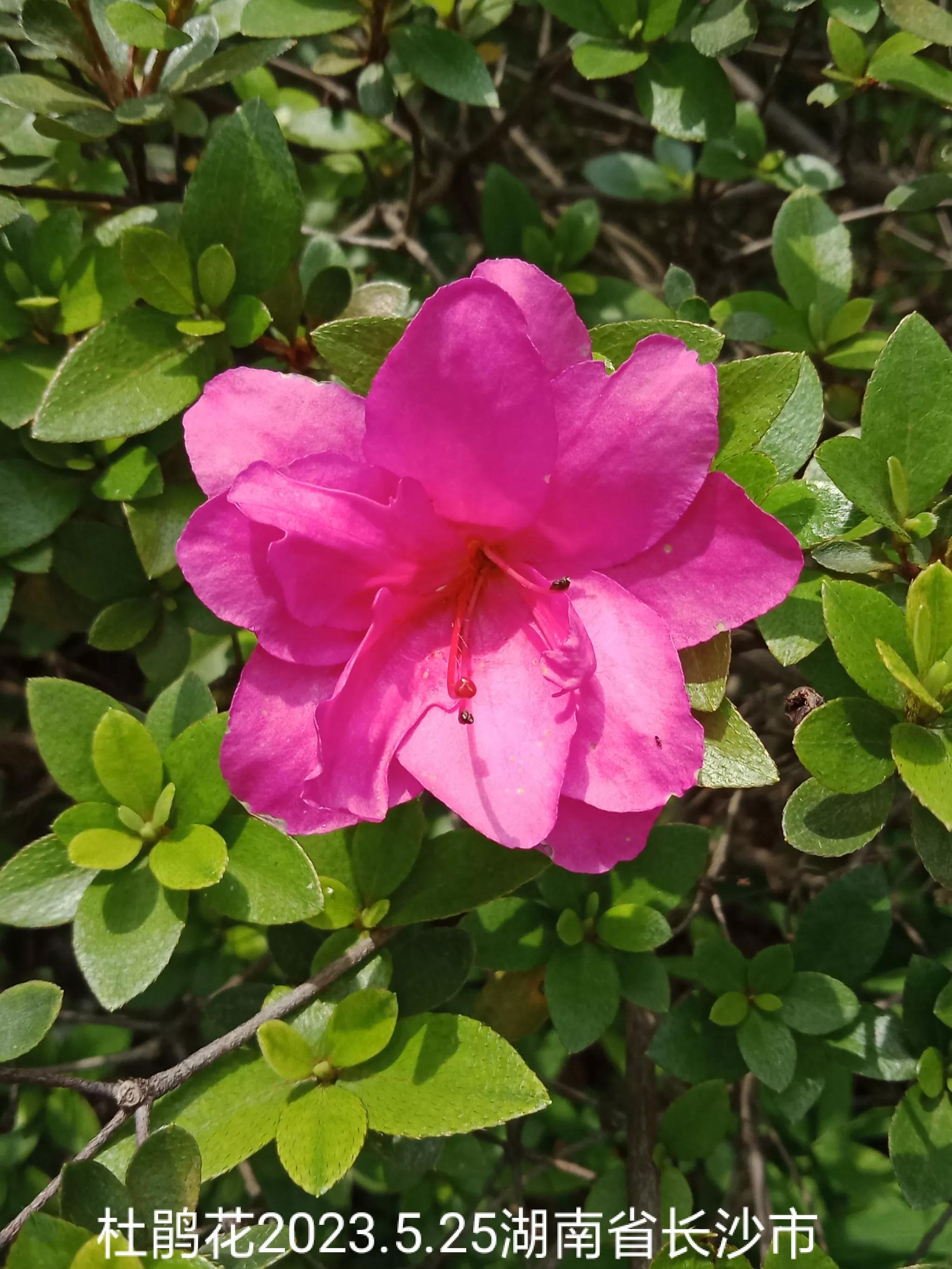 怎么找回没保存丢失的微信群,怎么找回没有保存的微信群