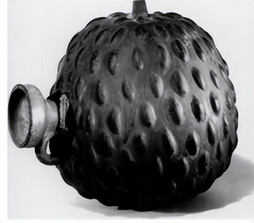 番荔枝要人工传粉吗,番荔枝来自哪里