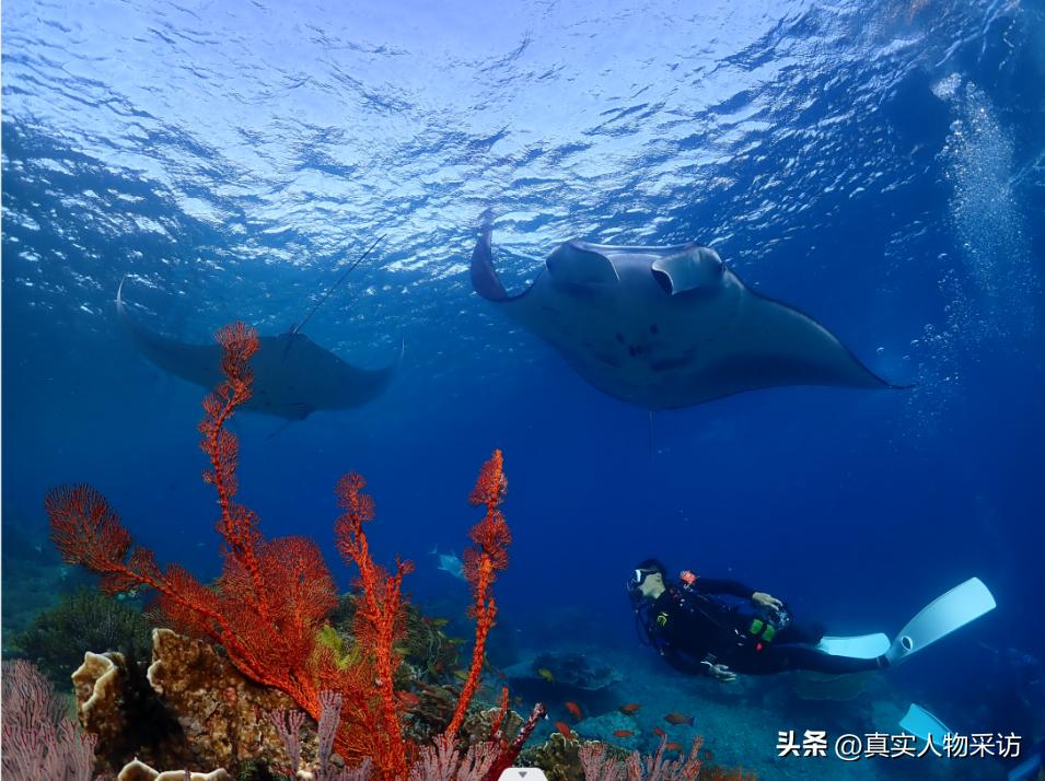 定居在泰国真实感受,去泰国定居真实感受