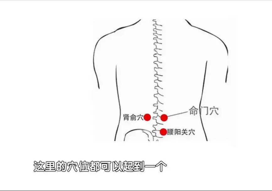 肾气一补一泄,肾气不固肾气亏虚吃什么药