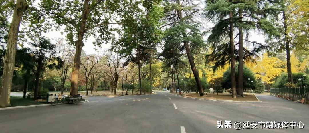 陕西宾馆迎来最佳观花赏景季节,陕西宾馆内景色