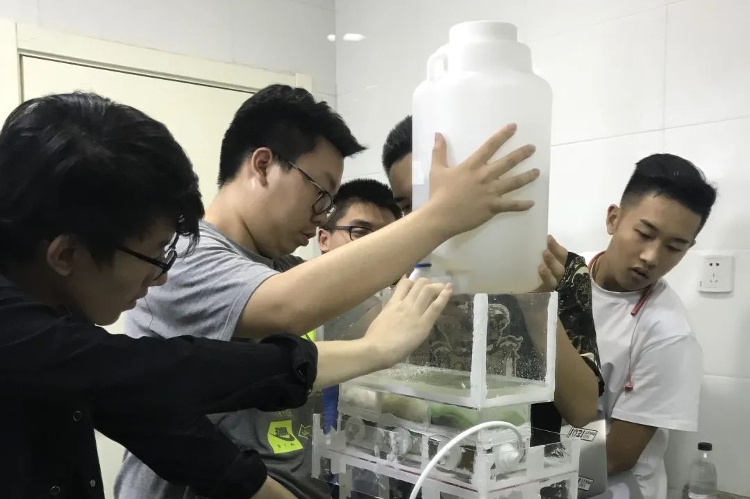 这所人附系学校，凭啥成为“小萌新”的梦中情校？秘密看这儿——