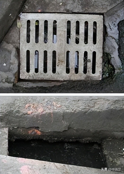 虫害控制的最新标准,虫害控制预防分哪几个阶段