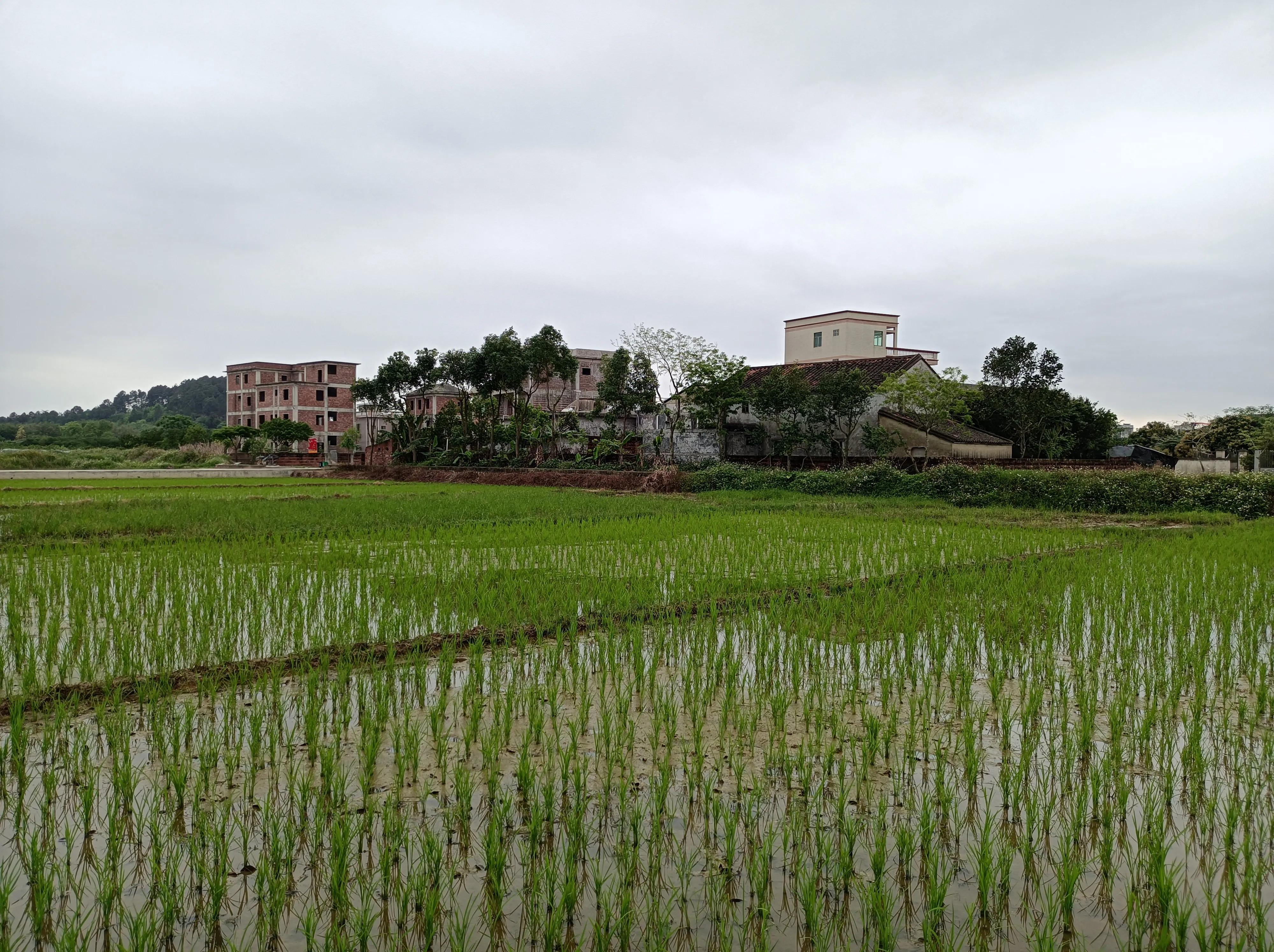 2021年6月13日骑行沽源,2023年11月份骑行活动