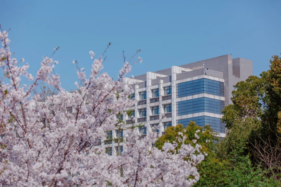 中国药科大学：位于江苏南京，众多与“药”相关的专业该怎么选？