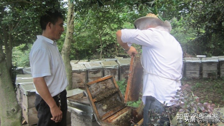 蜂蜜需要高温杀菌消毒吗,蜂蜜经过高温后有什么危害